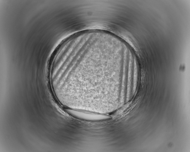 X0000098171116200805221509