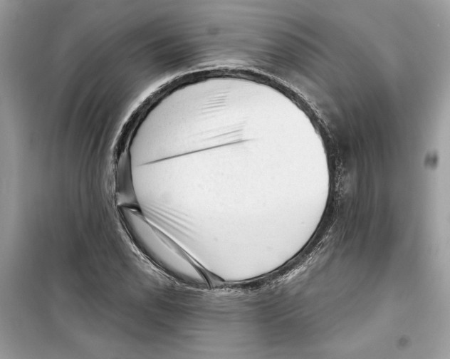 X0000098171118200805221509