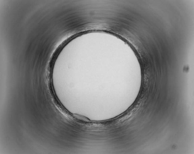 X0000098171119200805221509