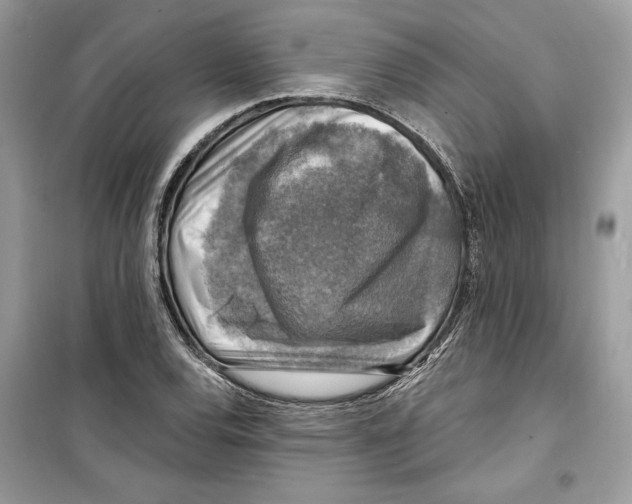 X0000098171120200805221509