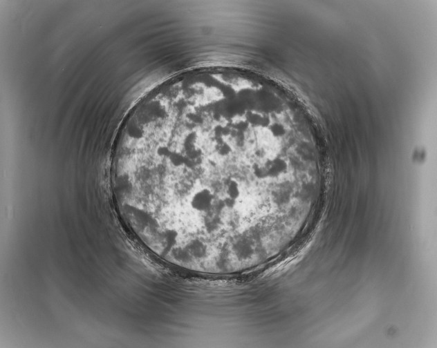 X0000098171121200805221509