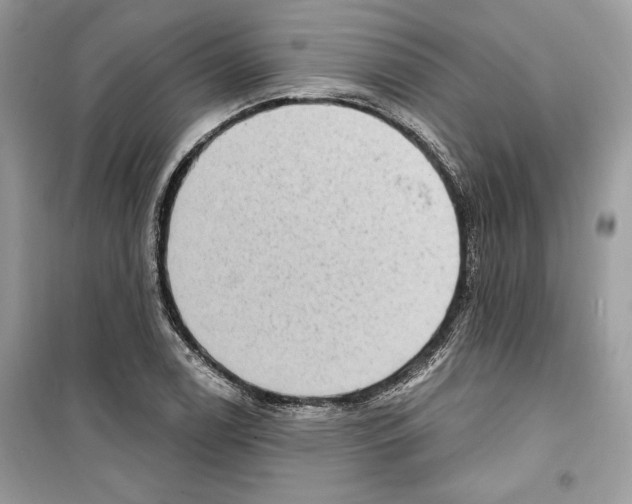 X0000098171122200805221509