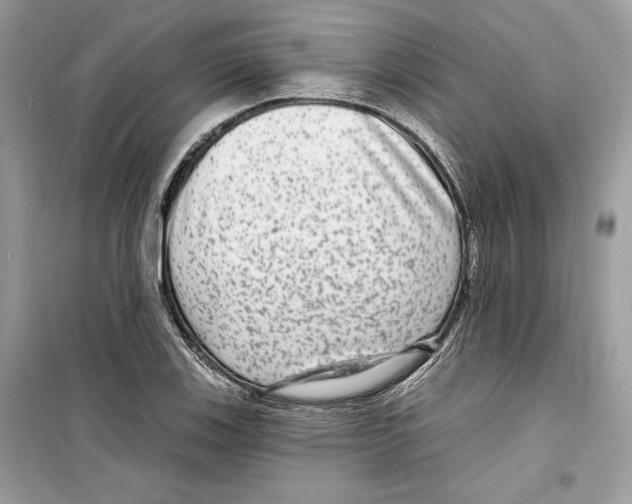 X0000098171123200805221509