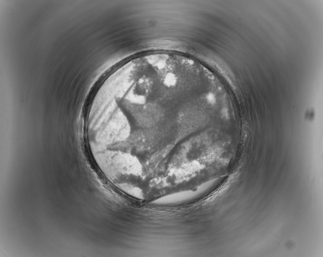 X0000098171125200805221509