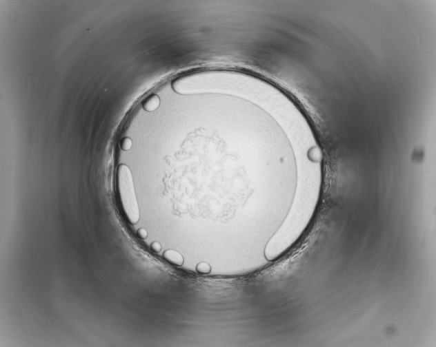 X0000098171126200805221509