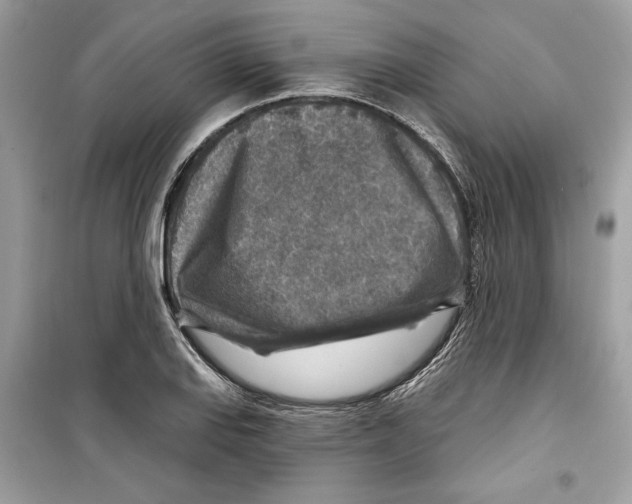 X0000098171127200805221509