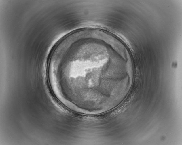 X0000098171128200805221509