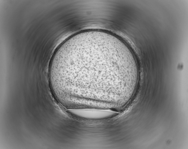 X0000098171129200805221509