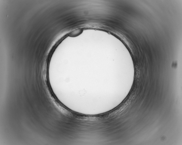 X0000098171131200805221509