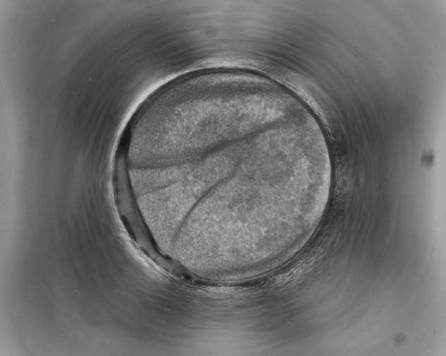 X0000098171132200805221509