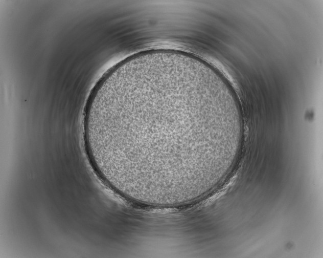 X0000098171133200805221509