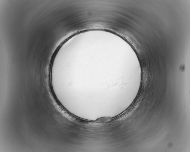 X0000098171134200805221509