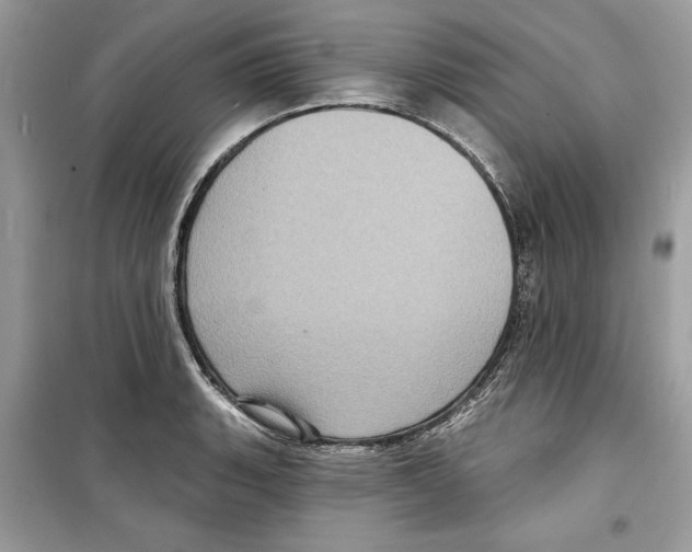 X0000098171135200805221509