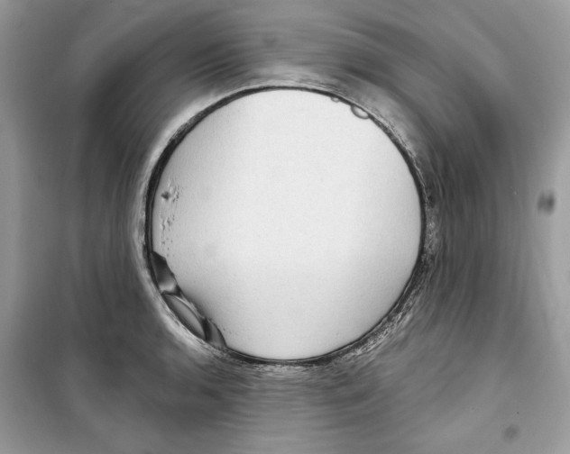 X0000098171136200805221510