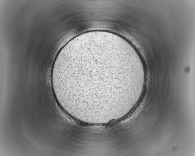 X0000098171137200805221510