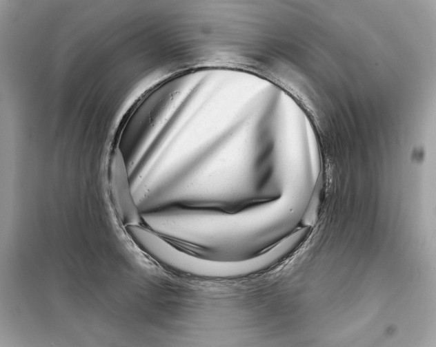 X0000098171138200805221510