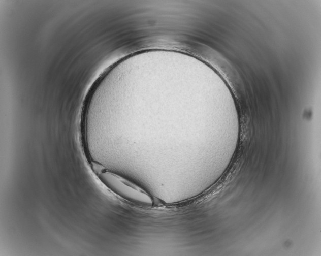 X0000098171139200805221510