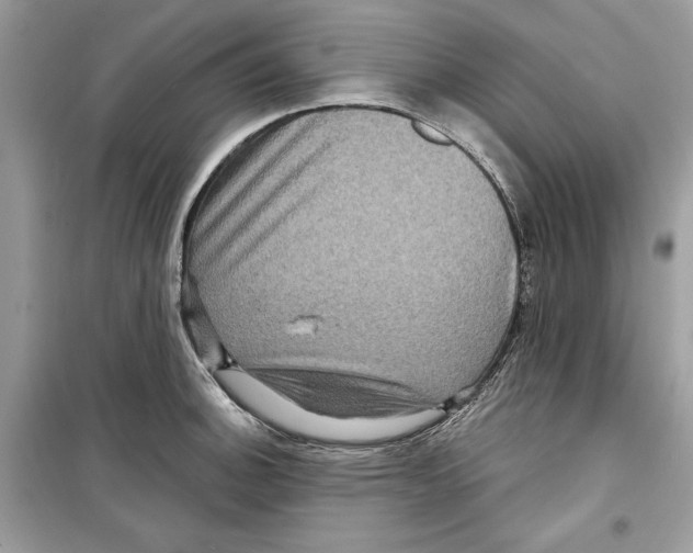 X0000098171140200805221510