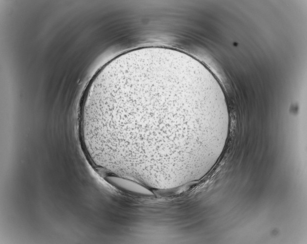 X0000098171143200805221510