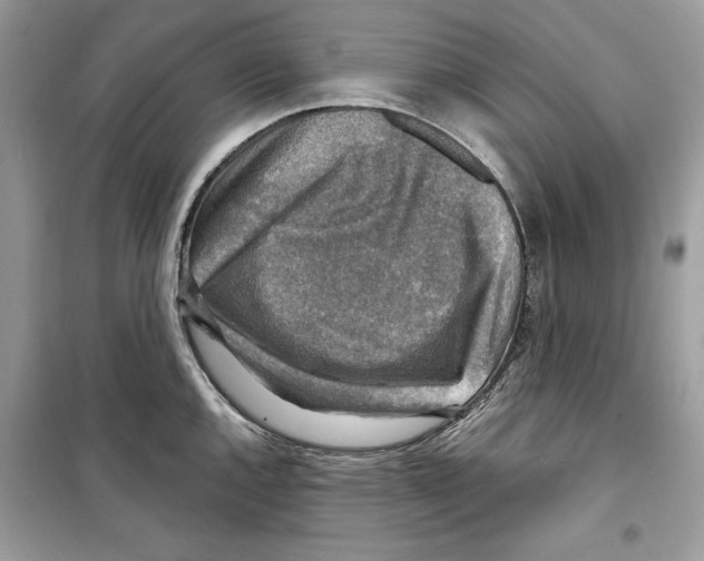 X0000098171144200805221510