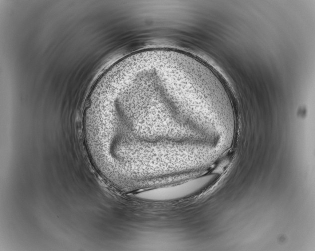 X0000098171145200805221510