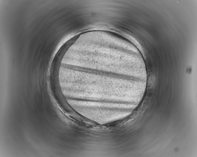 X0000098171146200805221510