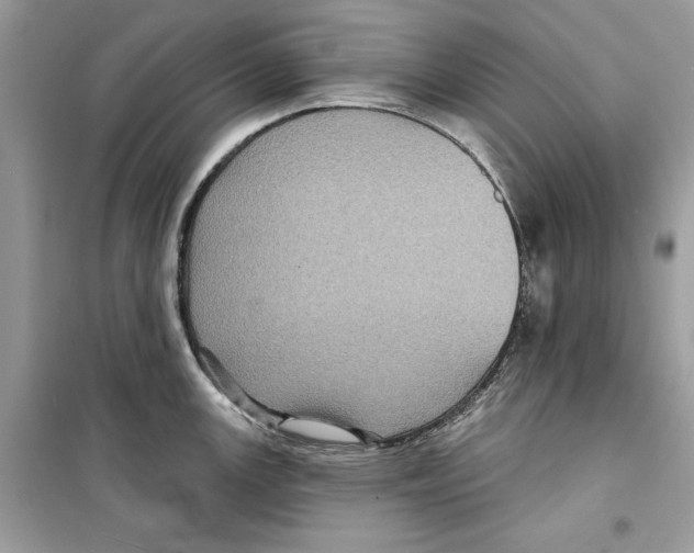 X0000098171147200805221510