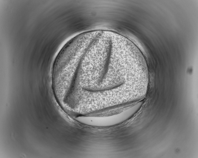 X0000098171148200805221510