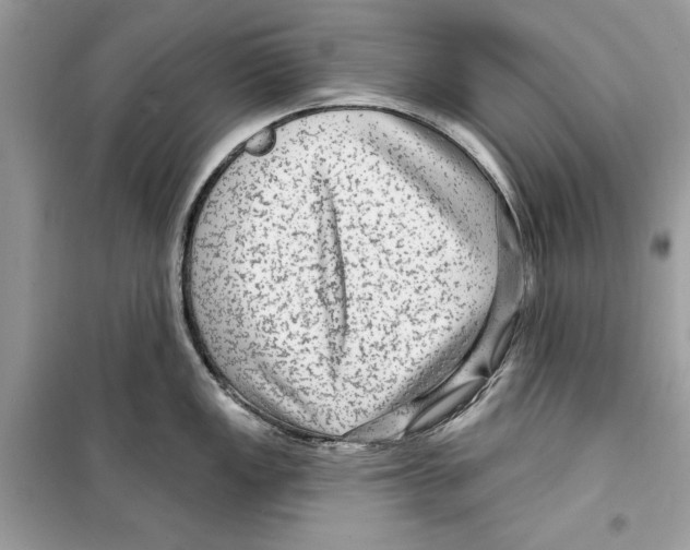 X0000098171149200805221510