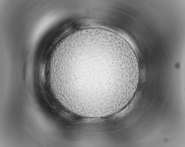 X0000098171150200805221510