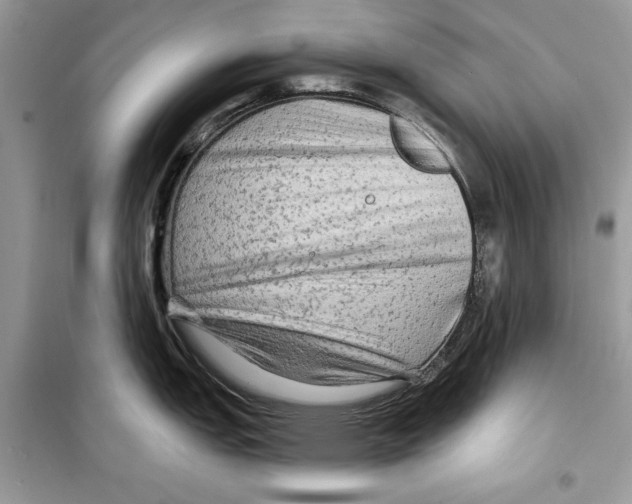 X0000098171151200805221510