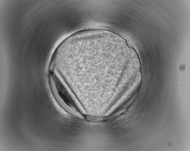 X0000098171152200805221510