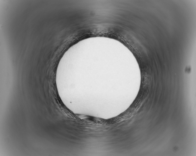 X0000098171153200805221509