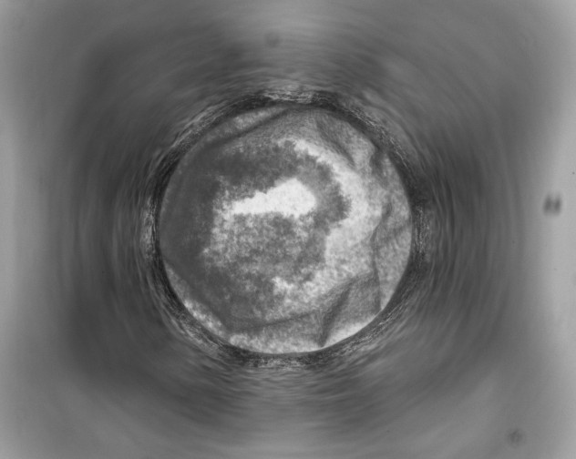 X0000098171154200805221509