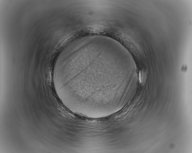 X0000098171155200805221509