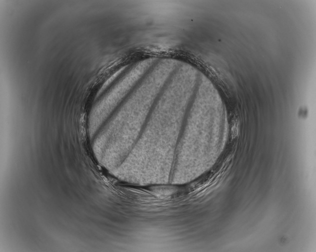 X0000098171156200805221509