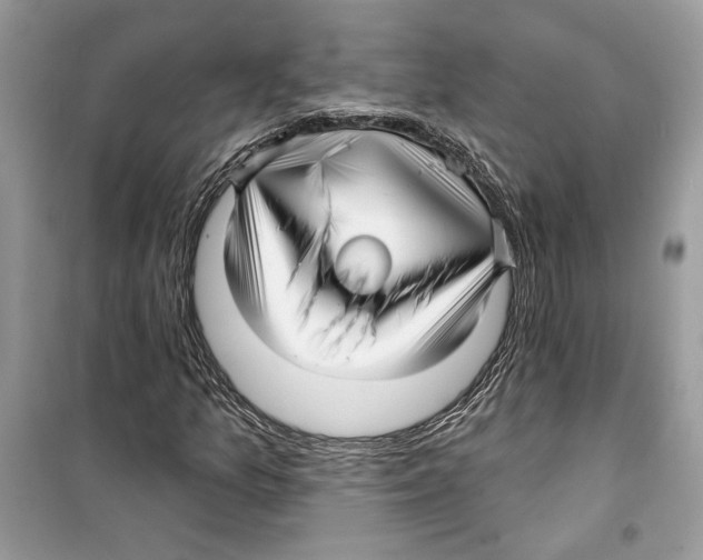 X0000098171157200805221509