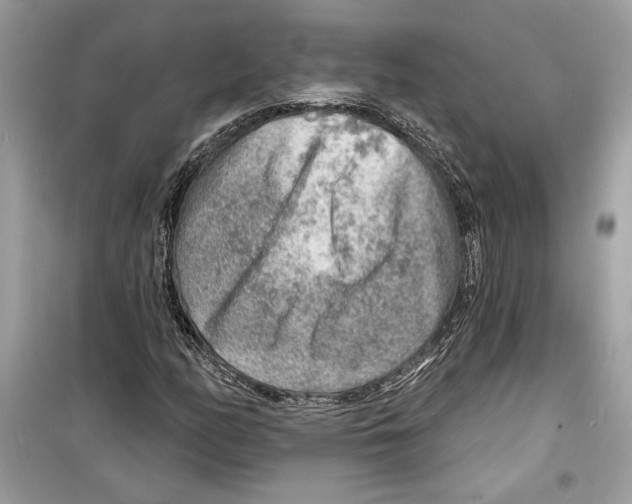 X0000098171158200805221509