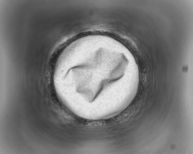 X0000098171159200805221509