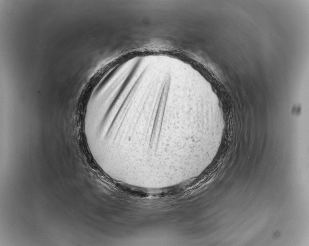 X0000098171160200805221509