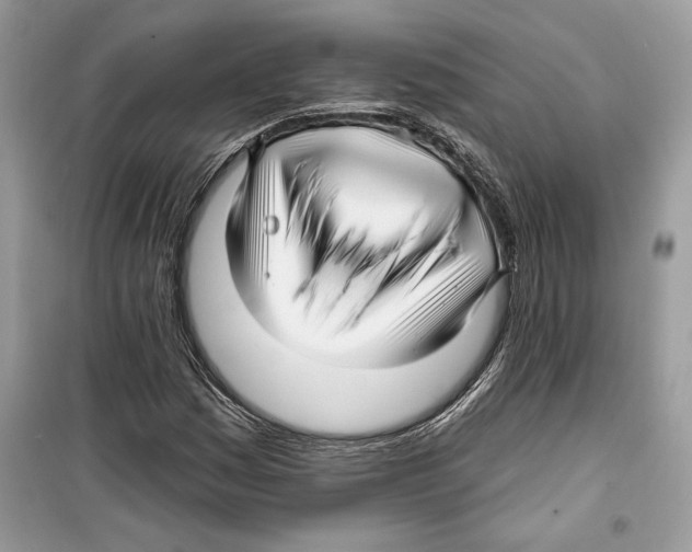 X0000098171161200805221509