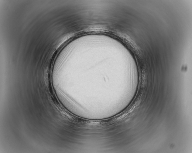 X0000098171162200805221509