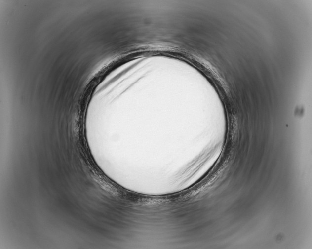 X0000098171163200805221509