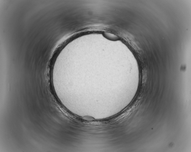 X0000098171164200805221509