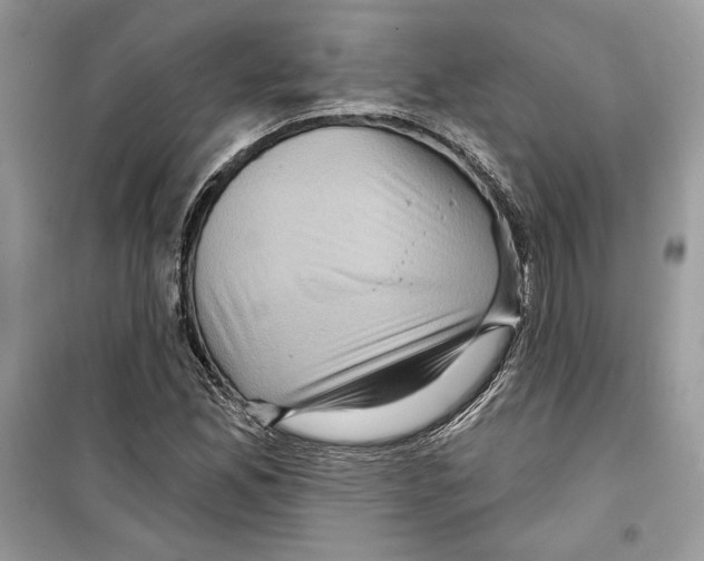 X0000098171165200805221509