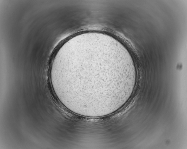 X0000098171166200805221509