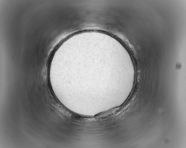 X0000098171167200805221509