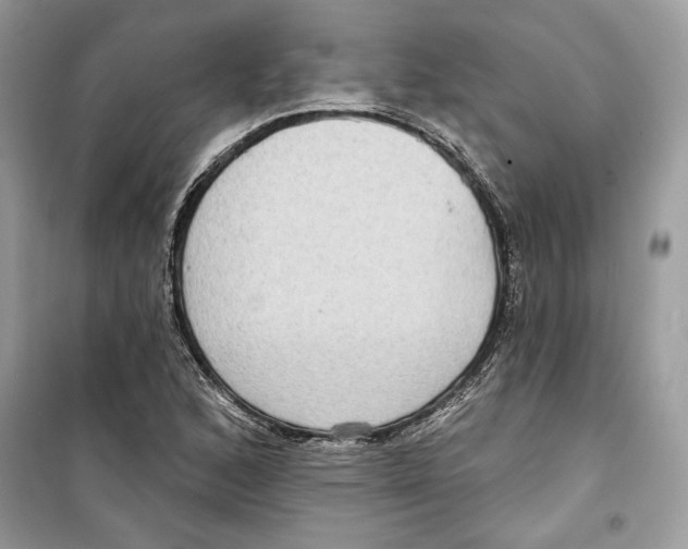 X0000098171168200805221509