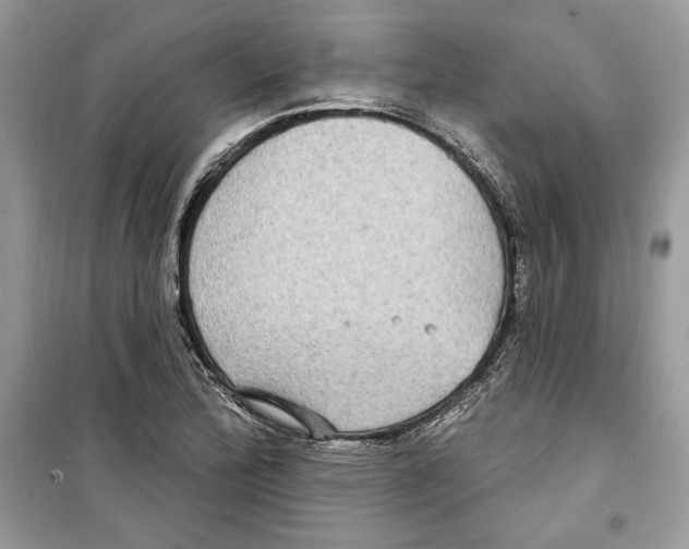 X0000098171172200805221509