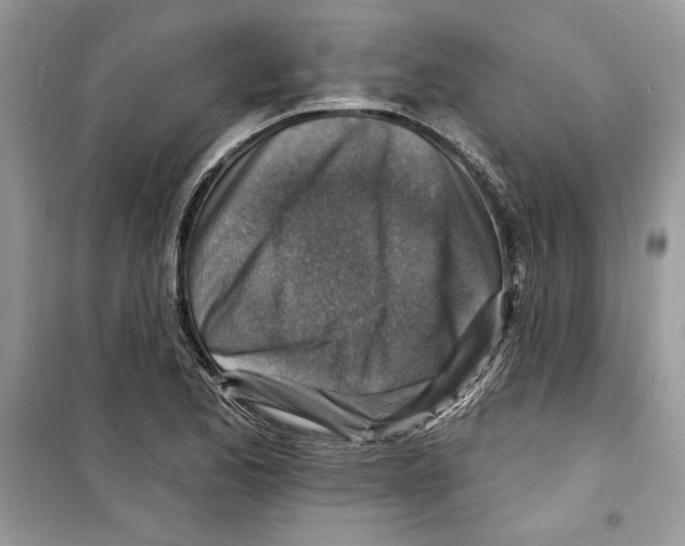 X0000098171173200805221509